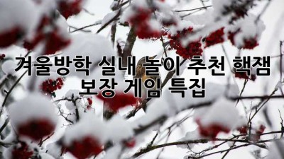 겨울방학 실내 놀이 추천: 핵잼 보장 게임 특집!