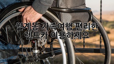 월계동 가족여행? 편리한 렌트카 이용하세요!