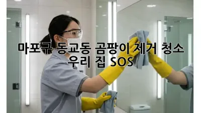 🏡 마포구 동교동 곰팡이 제거 청소, 우리 집 SOS🚨